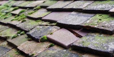 West Thurrock roof repair costs